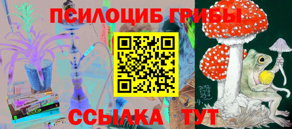 Краснотурьинск  Галлюциногенные грибы Magic Shrooms  Вход с VPN 