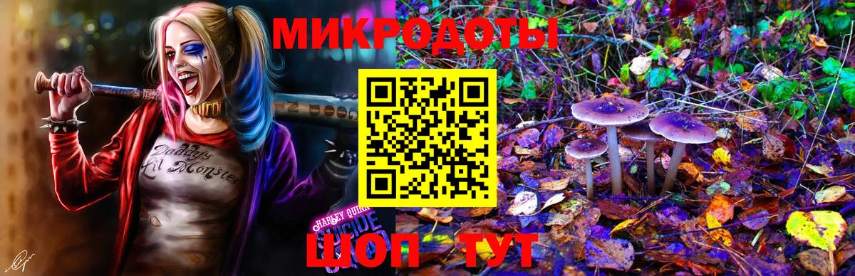 Псилоцибиновые грибы GOLDEN TEACHER Краснотурьинск